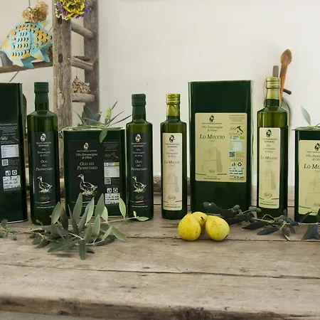 فيلة Relax Di Lusso In Salento