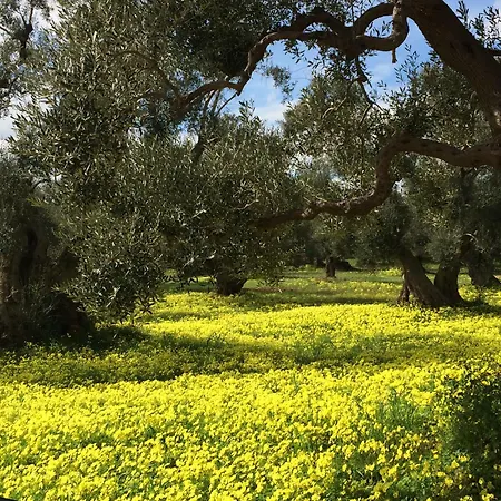 Relax Di Lusso In Salento *